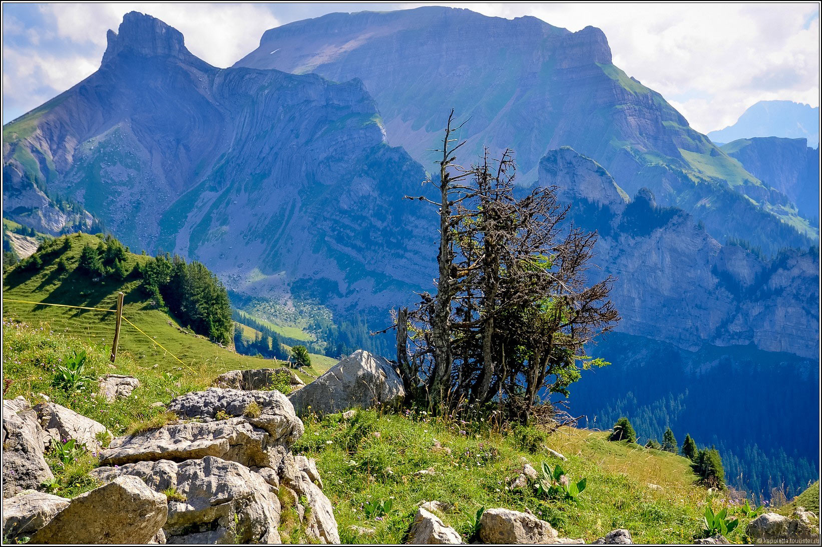 Schynige Platte (Wilderswil)